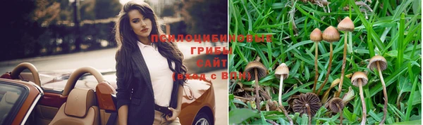 ALPHA PVP Медногорск